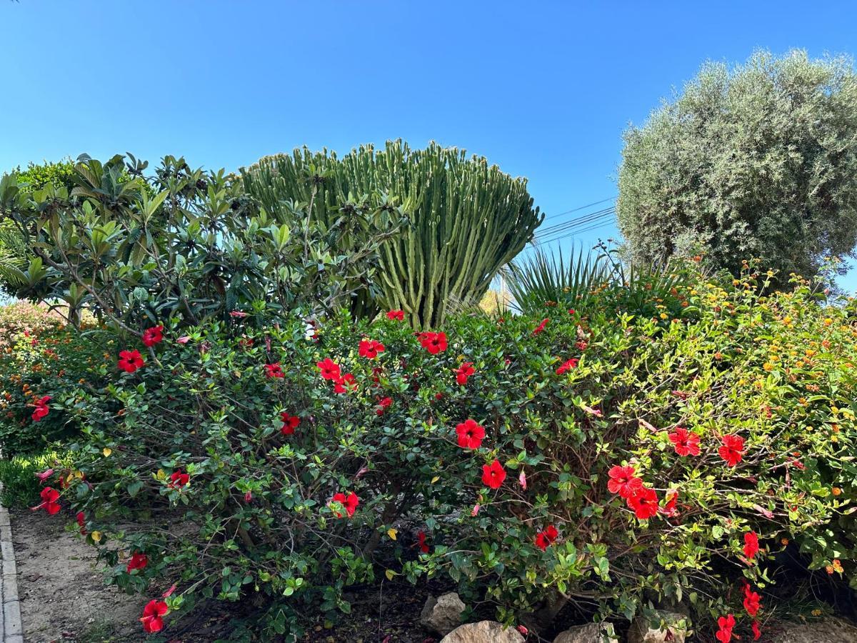 Apartamentos Yanina Gran Alacant Santa Pola Εξωτερικό φωτογραφία